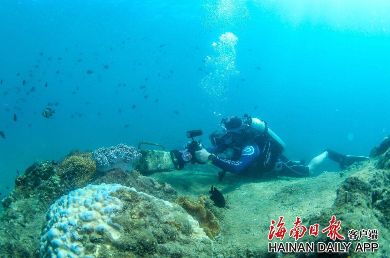 陶阿甘弹弹堂大作战